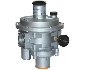 Регулятор давления газа Madas FRG/2MBZ DN 20, FB03Z 110
