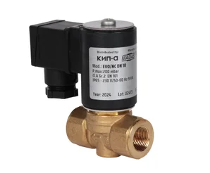 Газовый электромагнитный клапан Madas EVO04 008